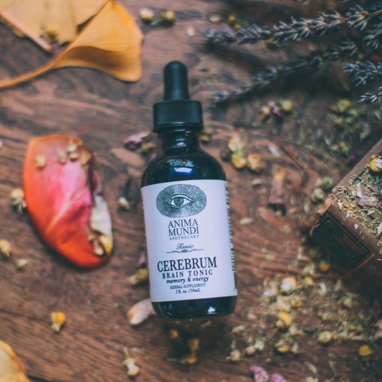 cerebrum anima mundi