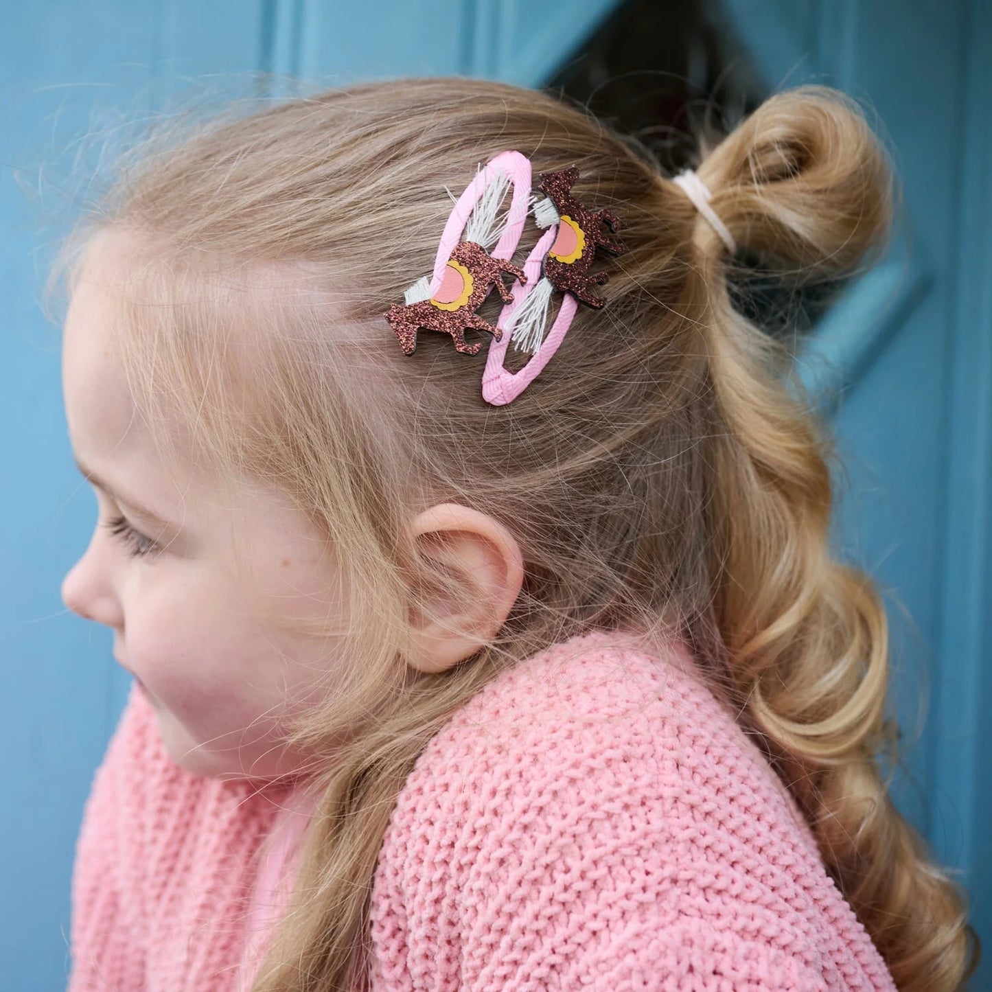 Country Pony Clips