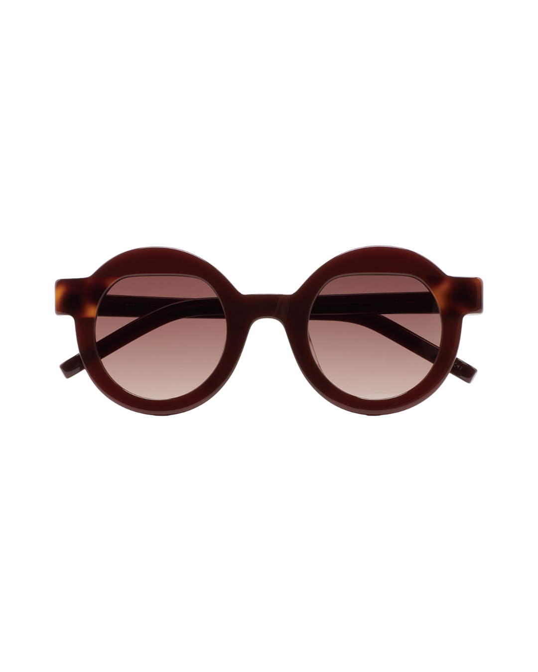 Gafa de Sol Pollitt II 5