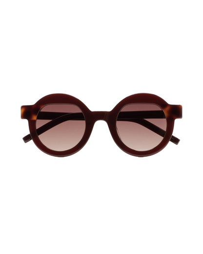 Gafa de Sol Pollitt II 5