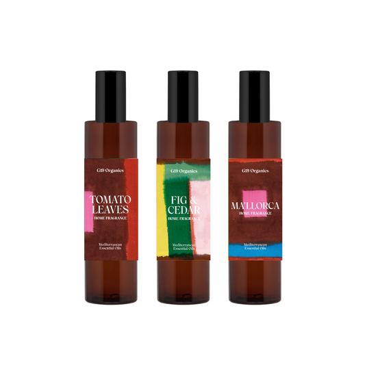 'G19 Home Fragrances' Kit Descubrimiento