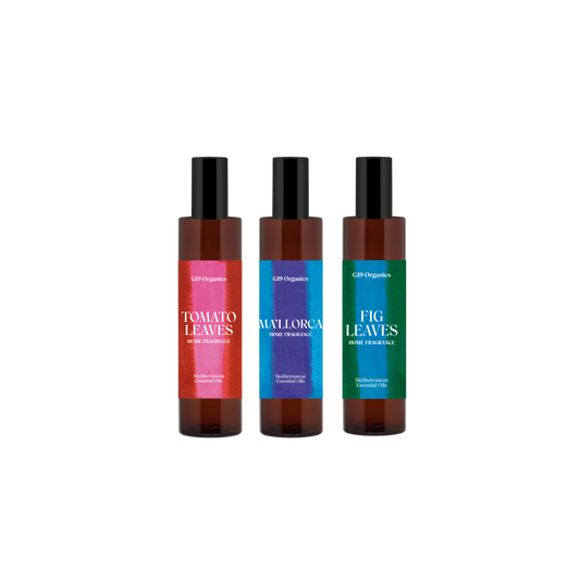 'G19 Home Fragrances' Kit Descubrimiento