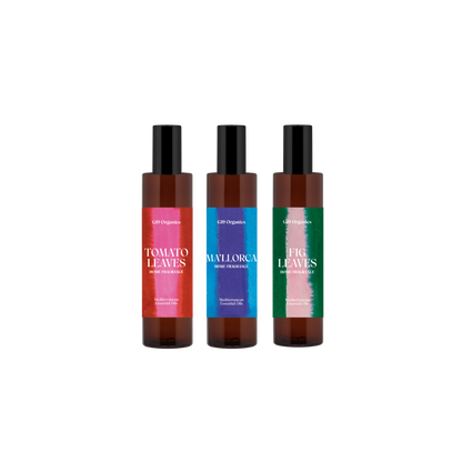 'G19 Home Fragrances' Kit Descubrimiento