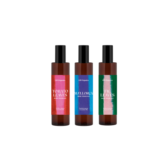 'G19 Home Fragrances' Kit Descubrimiento