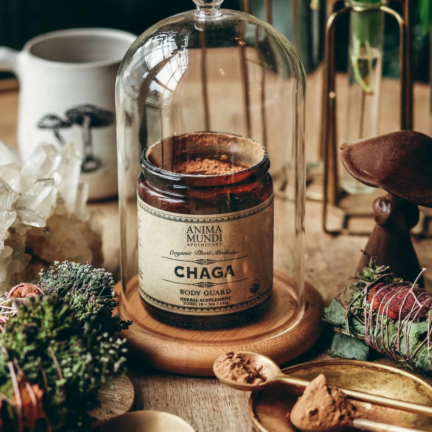 Chaga