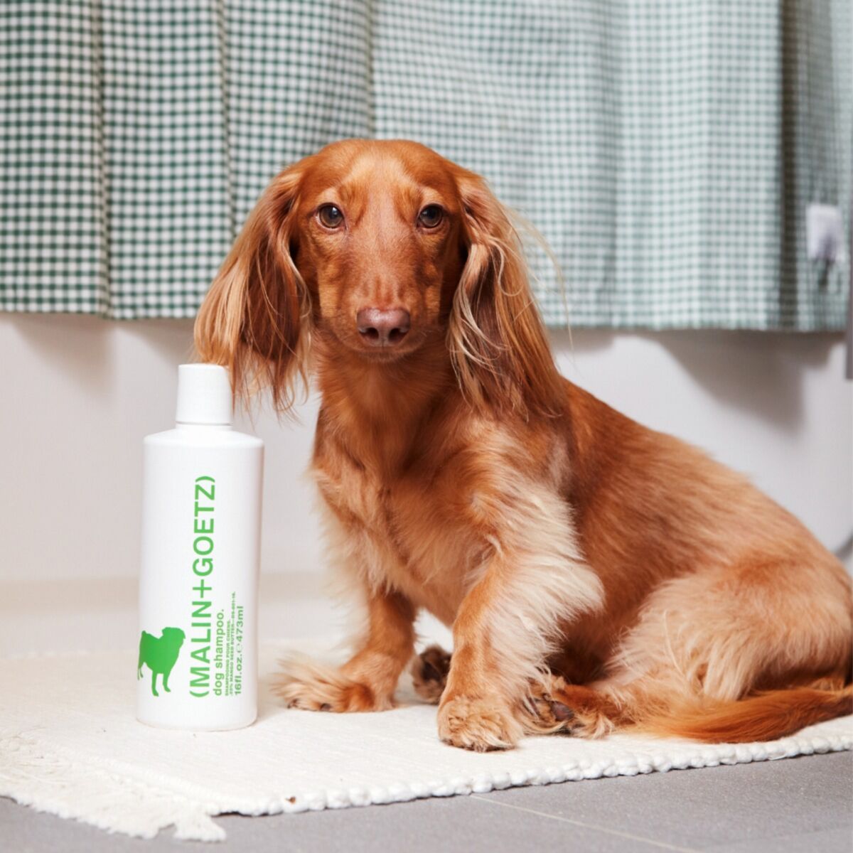 Dog Shampoo