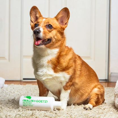 Dog Shampoo